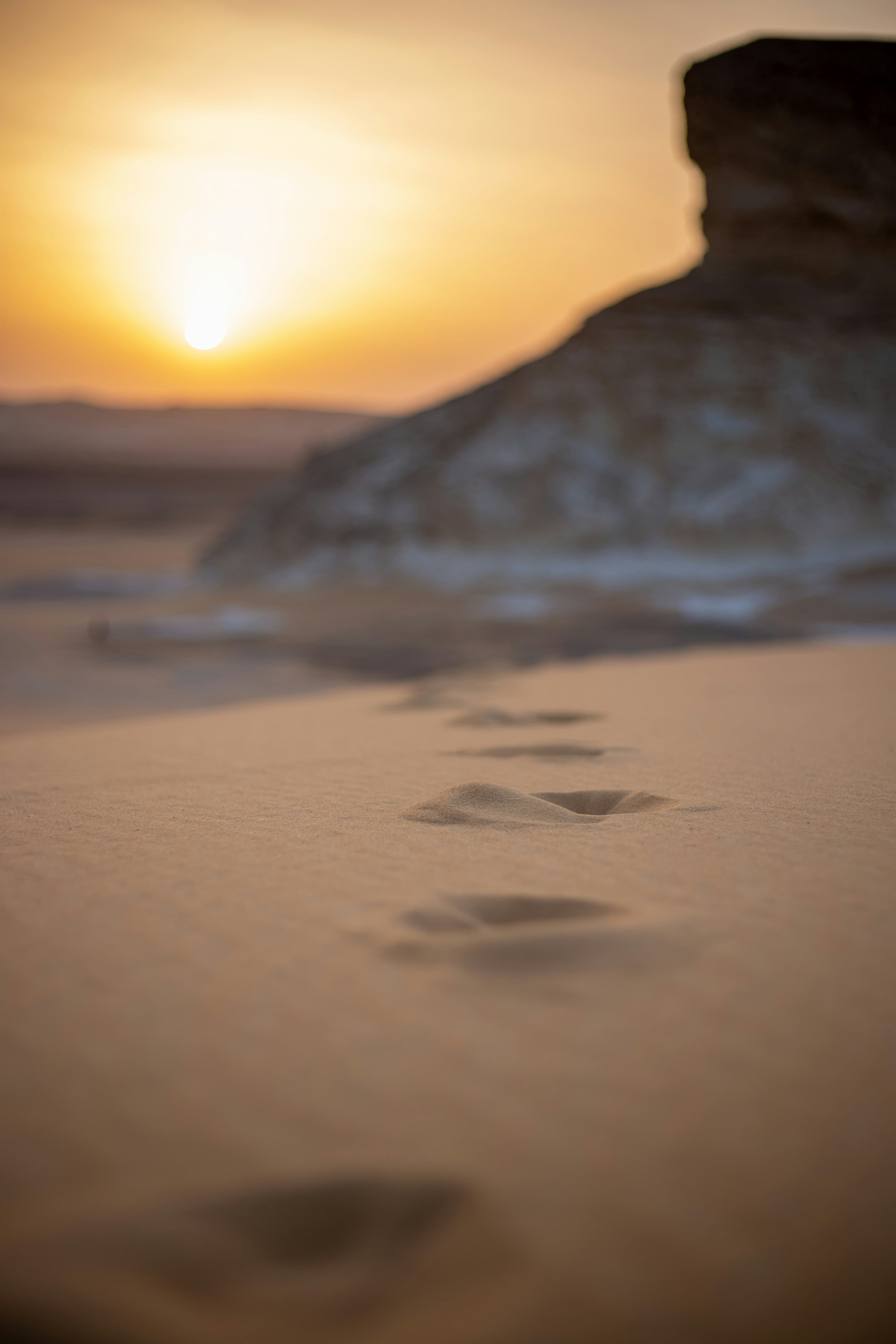 Bahariya Oasis