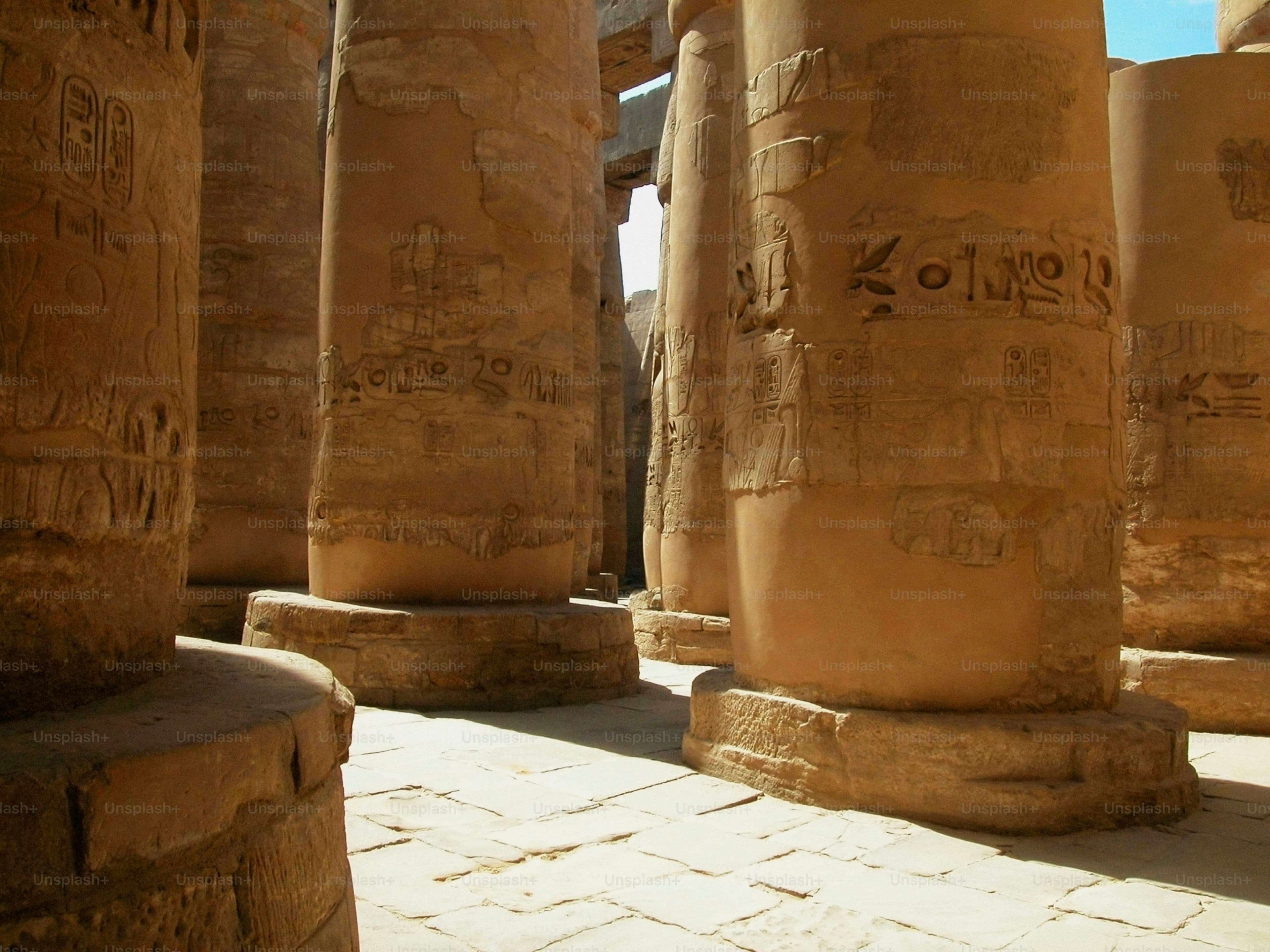 Museums & Civilization