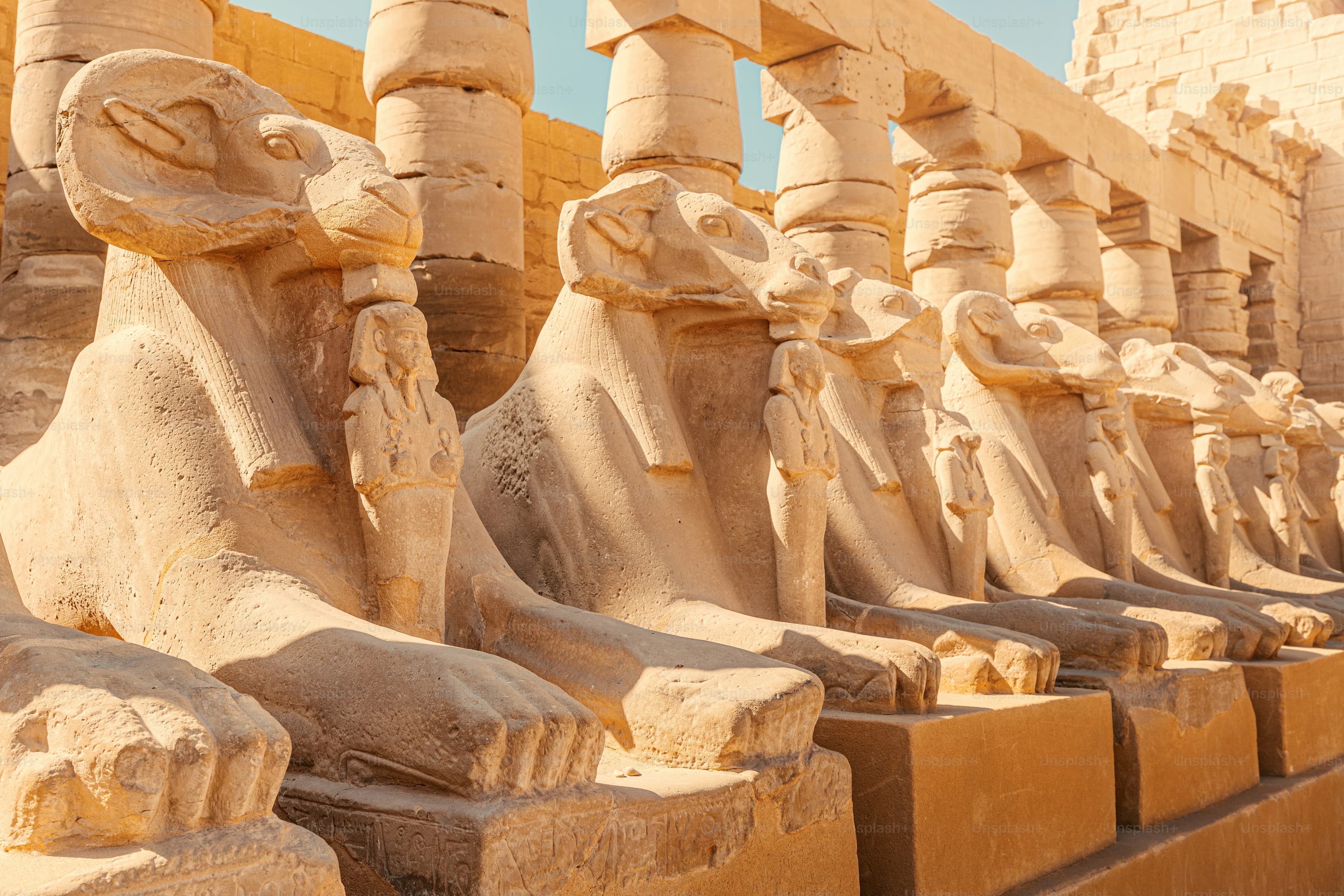 Museums & Civilization
