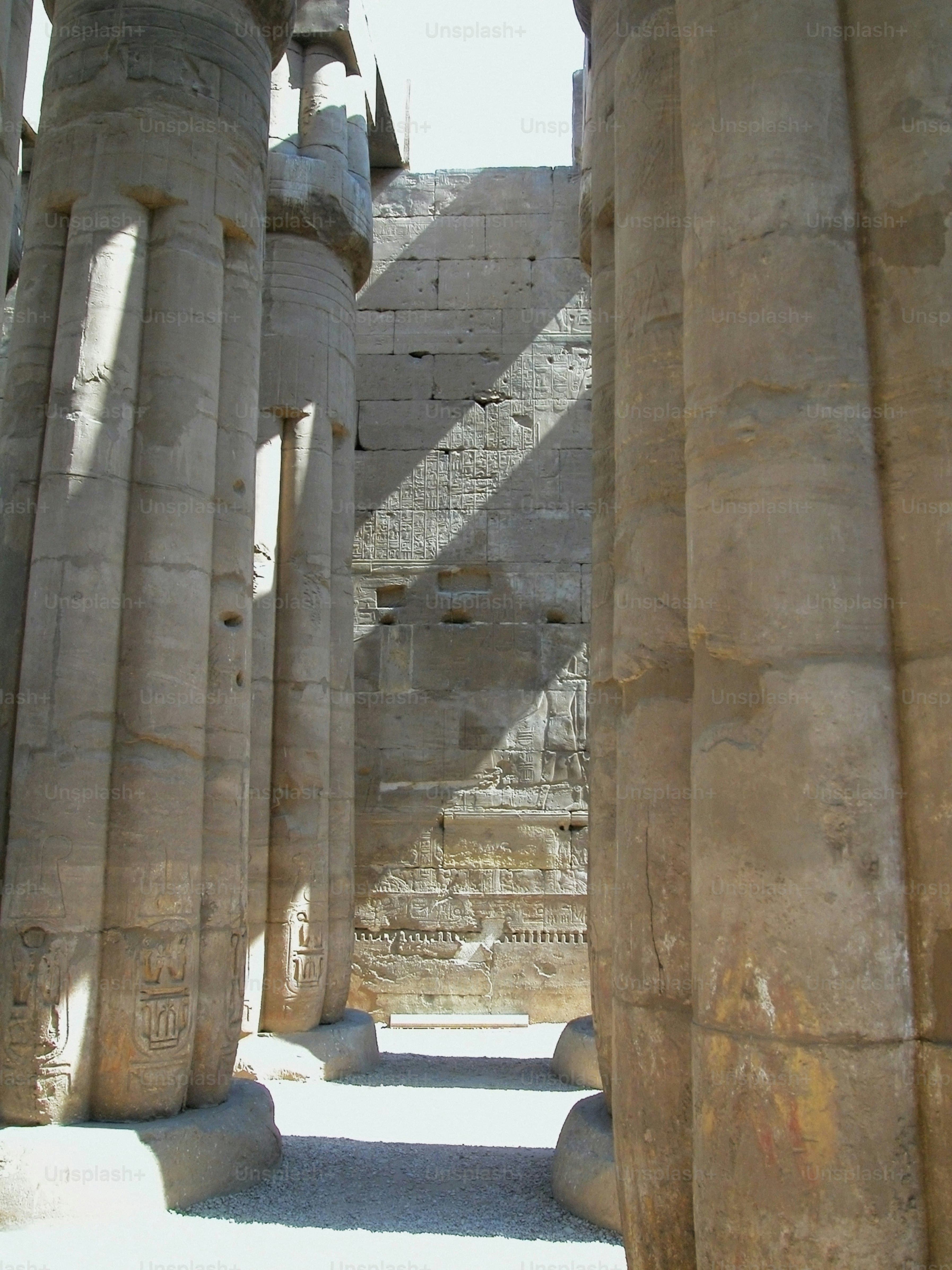 The Grand Egyptian Odyssey