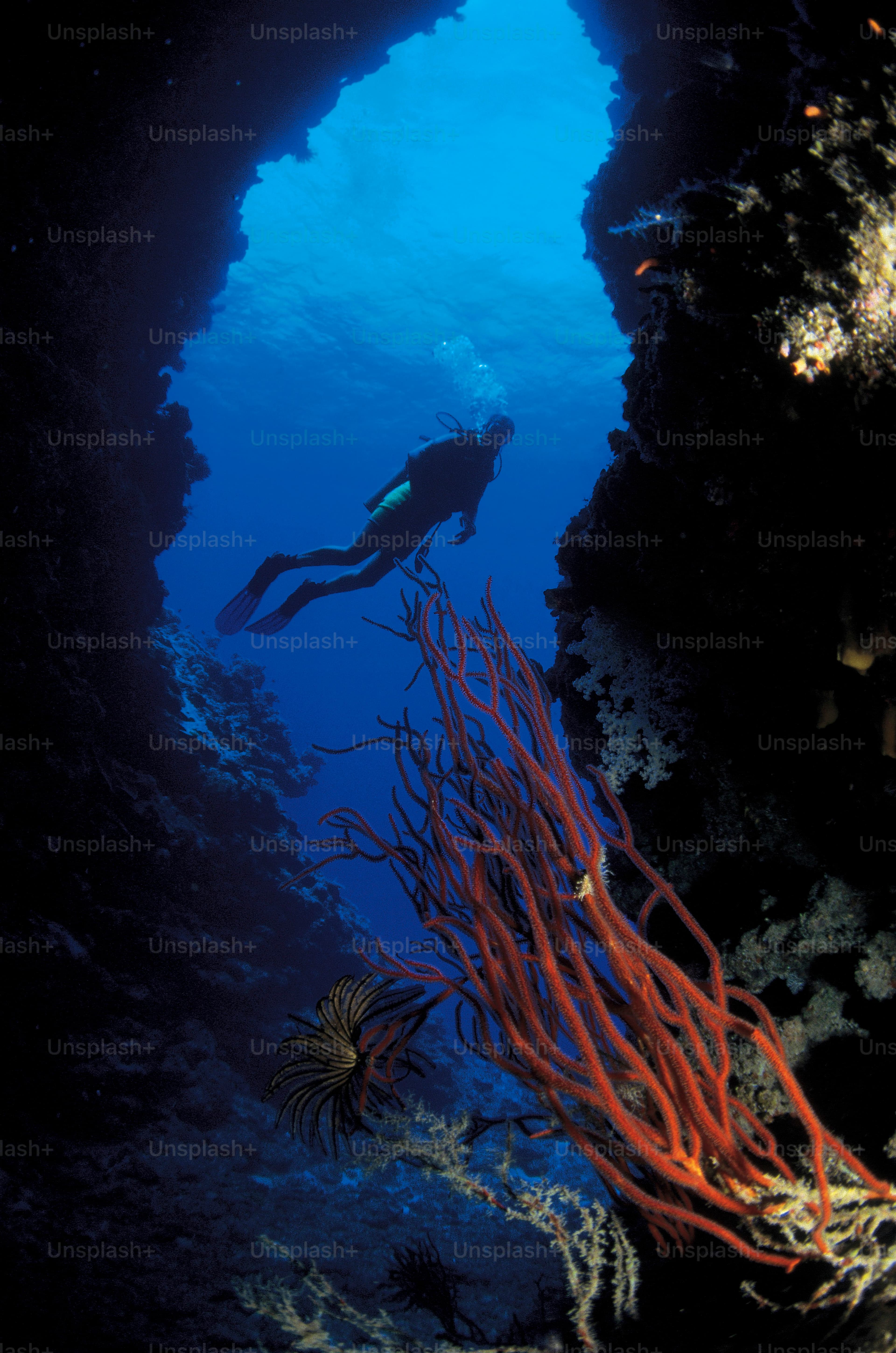 Red Sea Resort